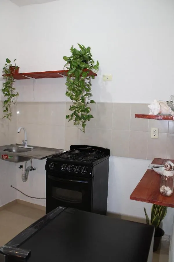 Relajante Y Acogedor Apartamento Con Alberca En Cancún